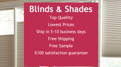 Top Quaility Lowest Prices