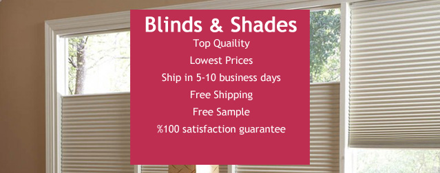 Top Quaility Lowest Prices